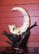 031_2008-0920-1240-49A.jpg